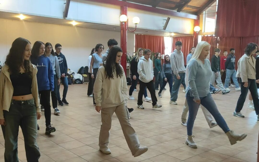 Voyage en Hongrie : dernière journée au lycée de Veszprem